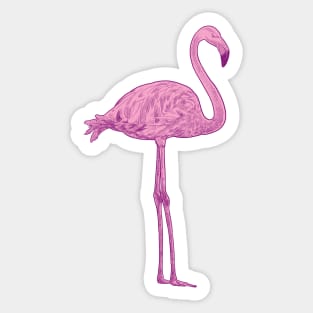 Pink flamingo Sticker